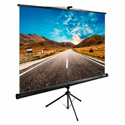 Экран Cactus TriExpert CS-PSTE-160×160-BK, 160×160 см, 1:1, напольный, черный