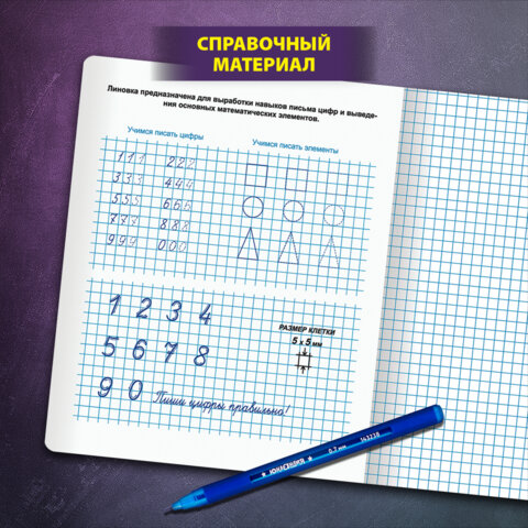 Тетради ДЭК 12 л. КОМПЛЕКТ 10 шт. ПРОПИСЬ № 6 клетка, со справочным материалом, ЮНЛАНДИЯ