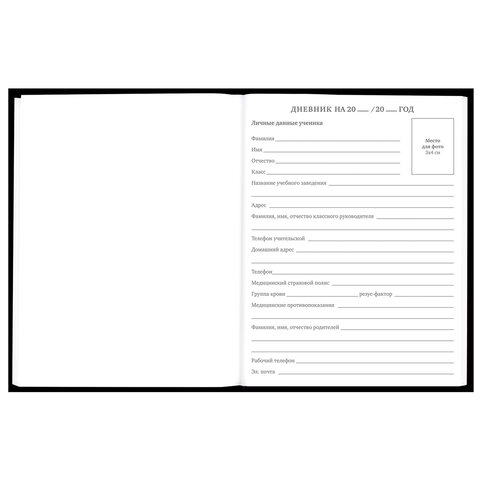 Дневник 5-11 класс 48 л., твердый, BRAUBERG, матовая ламинация, с подсказом, «Гуси»