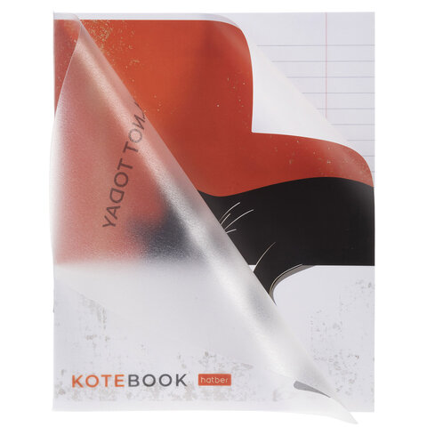Тетрадь обложка пластик, А5, 48 л., скоба, линия, HATBER, «Котэ» (микс в спайке), 091627