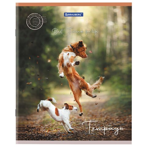 Тетрадь А5 48 л. BRAUBERG скоба, клетка, обложка картон, «Best Friends»
