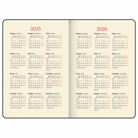 Ежедневник датированный 2025, А5, 143×218 мм, BRAUBERG «Journal», под кожу, застежка, органайзер, серый
