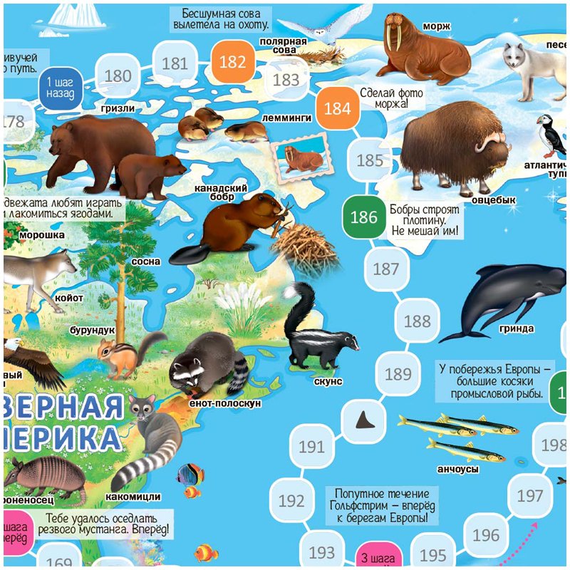 Игра-ходилка настольная ГЕОДОМ «Животный мир Земли», с фишками