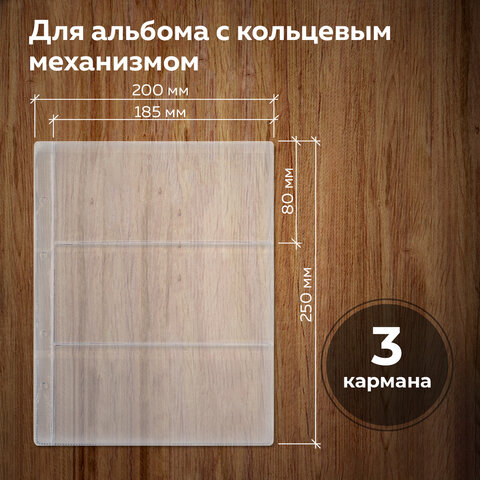 Листы-вкладыши для альбома «OPTIMA» на 3 боны (купюры), КОМПЛЕКТ 10 шт., 200×250 мм, ПВХ, STAFF
