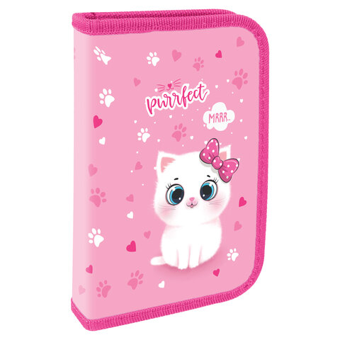 Пенал ПИФАГОР1 отделениеламинированный картон19×11 см«Fluffy cat»271002