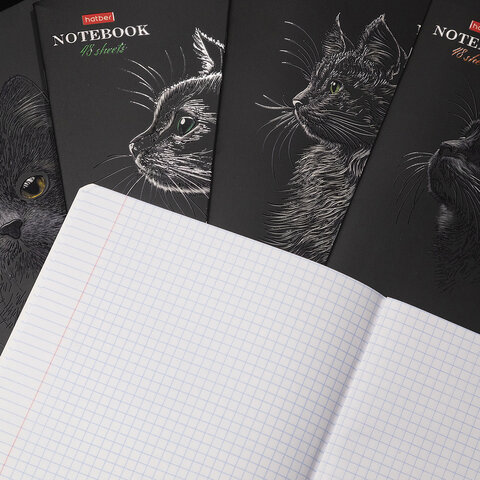 Тетрадь А5, 48 л., HATBER, скоба, клетка, матовая ламинация, 3D-лак, «Black Cat» (микс в спайке), 093159