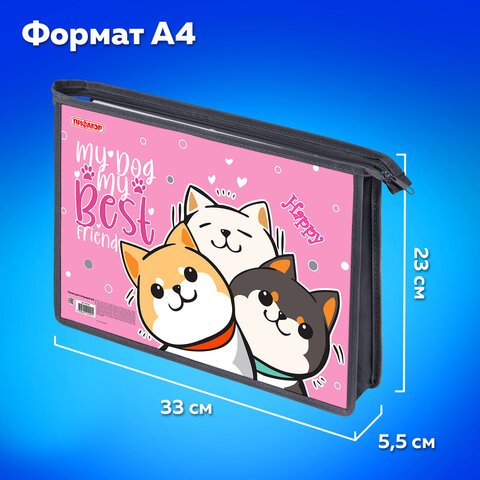 Папка для тетрадей ПИФАГОР А4, 1 отделение, картон/пластик, на молнии, «Best team»