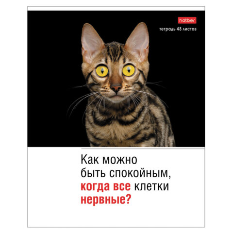 Тетрадь А5 48 л., HATBER скоба, клетка, обложка картон, «Котоюмор» (микс в спайке), 079790