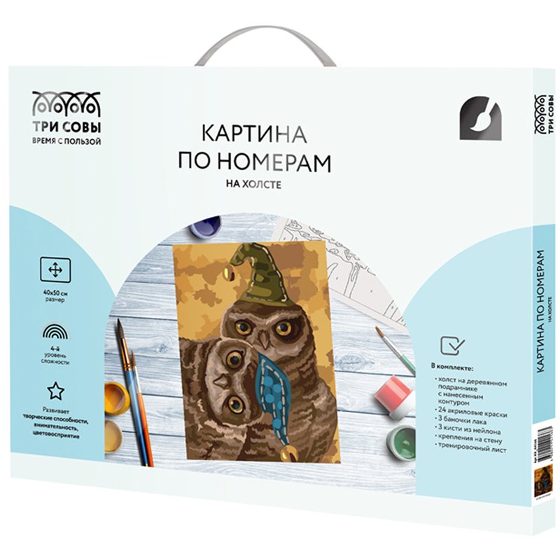 превью Картина по номерам на холсте ТРИ СОВЫ «Сонные совы», 40×50, с акриловыми красками и кистями