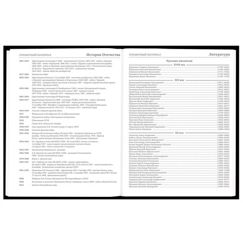 Дневник 5-11 класс 48 л., твердый, BRAUBERG, матовая ламинация, с подсказом, «Гуси»