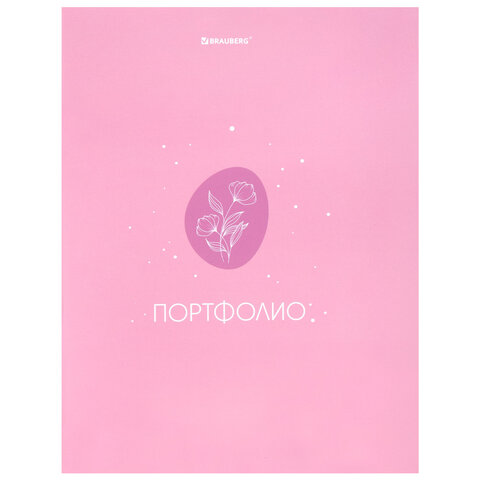 превью Папка-портфолио универсальная, 4 кольца, 20 файлов, 7БЦ матовая, BRAUBERG, «Gentle»