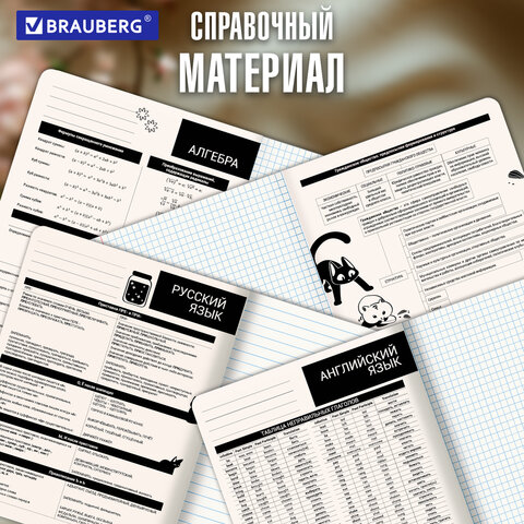 Тетради предметные, КОМПЛЕКТ 12 ПРЕДМЕТОВ 48 л., пластиковая обложка, BRAUBERG «КОТ-НЕПОСЕДА»