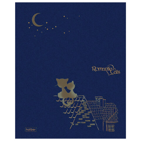 Тетрадь А5 48 л. HATBER скоба, клетка, матовая ламинация, 3D, «Romantic» (5 видов в спайке)