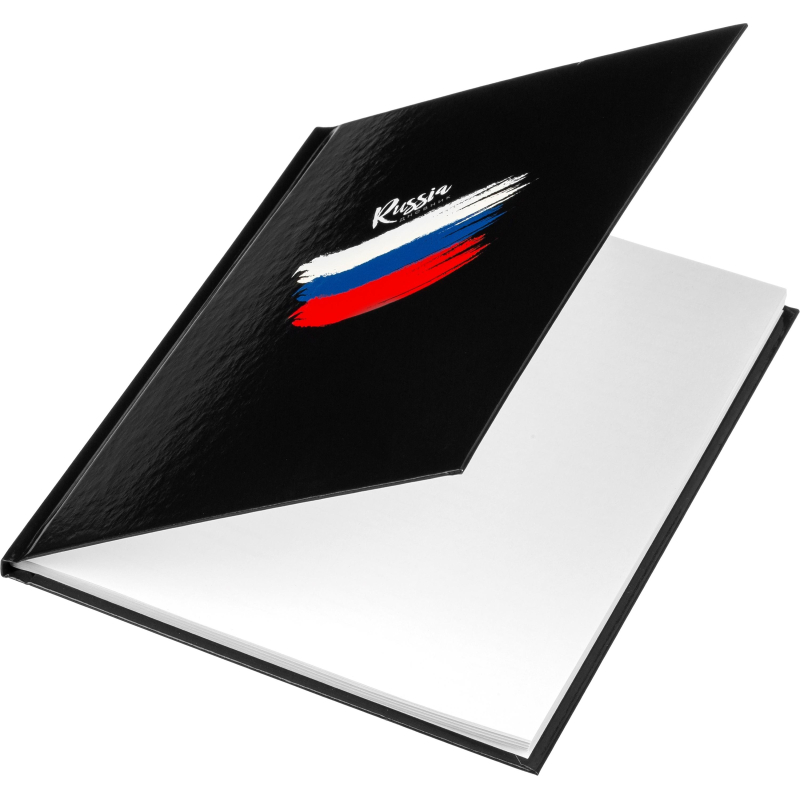 Дневник Росс. шк. унив., 7БЦ, гл. лам. Триколор на черном