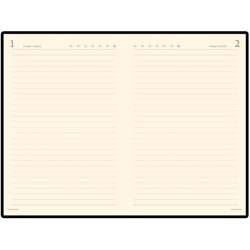 Ежедневник полудатированный Bruno Visconti Profy натуральная кожа А5 208 листов коричневый (золотист