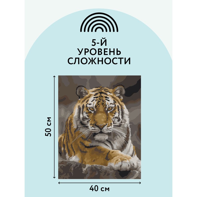 Картина по номерам на холсте ТРИ СОВЫ «Тигриная стать», 40×50, с акриловыми красками и кистями