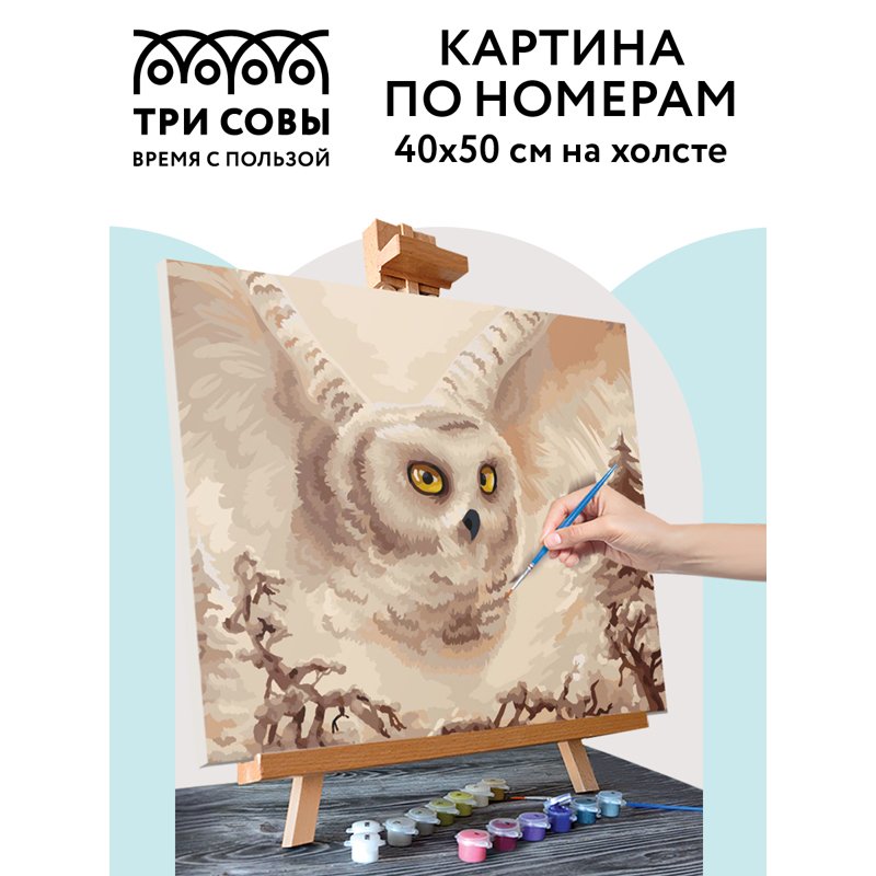 Картина по номерам на холсте ТРИ СОВЫ «Полярная сова», 40×50, с акриловыми красками и кистями