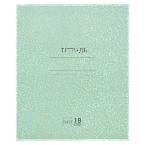 Обложки с ГОЛОГРАММОЙ для тетрадей и дневниковКОМПЛЕКТ 5 шт. ПЛОТНЫЕ100 мкм210×350 ммFUNSTER274089