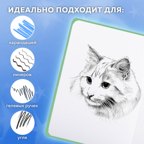 Скетчбук, белая бумага 80 г/м2, 145×203 мм, 80 л., резинка, твердый, FUNSTER, Гусь «Че смотришь»