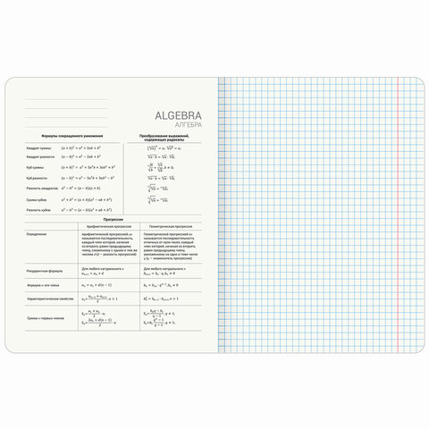 Тетради предметные, КОМПЛЕКТ 12 ПРЕДМЕТОВ, 48 л., TWIN лак, BRAUBERG «МЕМЫ»
