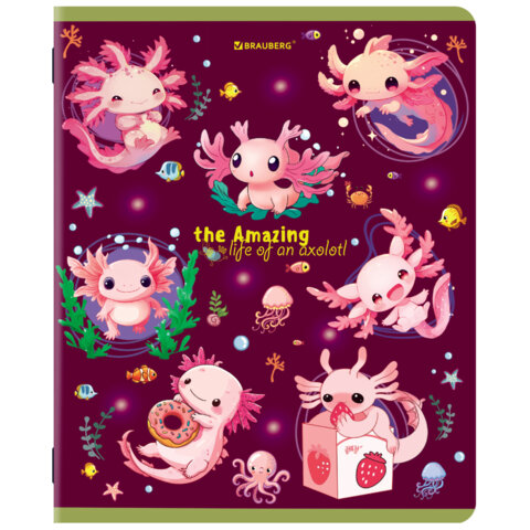 Тетради ДЭК А5 48 л. КОМПЛЕКТ 5 шт. BRAUBERG, скоба, клетка, TWIN-лак, «AMAZING ANIMALS»