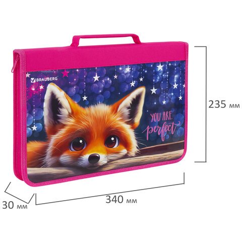 Папка на молнии BRAUBERG А4 с ручкой, с органайзером, 1 отделение, «Cute fox»