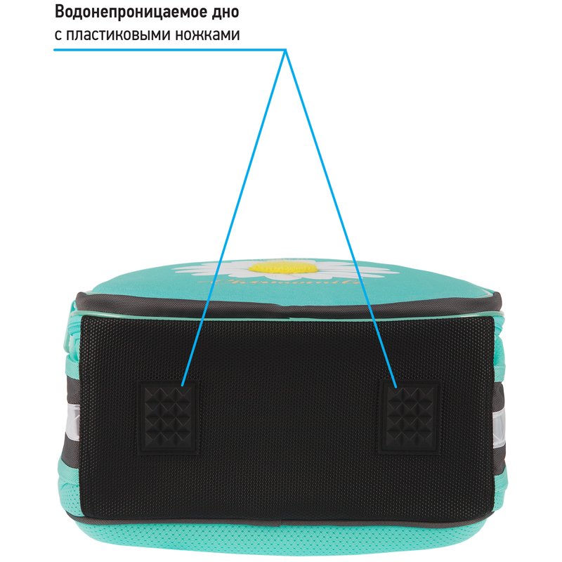 Ранец Berlingo Expert Plus «Chamomile» 38×29×15см, 2 отделения, 2 кармана, анатомическая спинка
