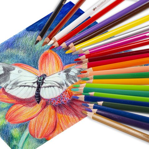 Карандаши цветные акварельные BRAUBERG PREMIUM AQUARELLE36 цветовгрифель мягкий 4 мм181674