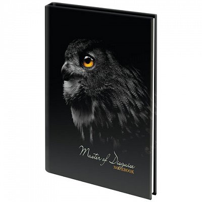 Блокнот МАЛЫЙ ФОРМАТ (103×146 мм), А6, 80 л., твёрдый, клетка, STAFF, «Сова»