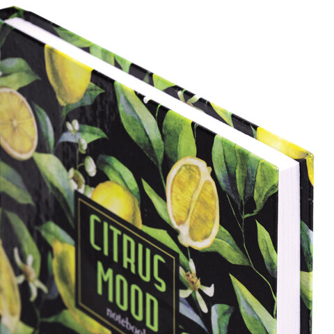 Блокнот А5 (134×206 мм), 96 л., твёрдый, клетка, STAFF, «Lemons»