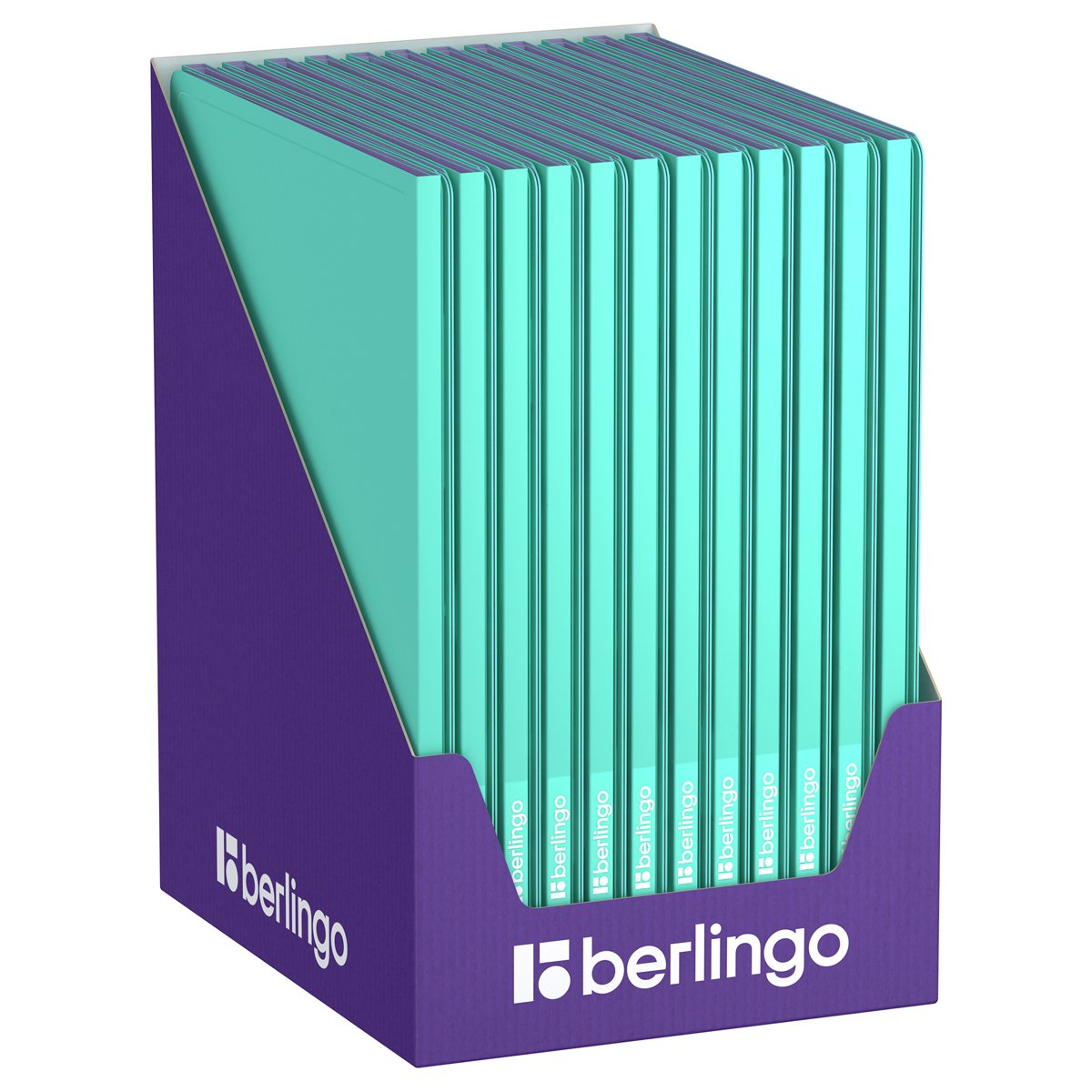 Папка с 10 вкладышами Berlingo «Haze», 9мм, 600мкм, с внутр. карманом, мятная, софт-тач