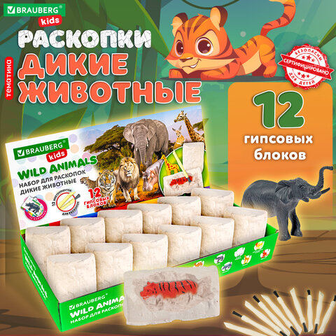 Набор для раскопок «Дикие животные»12 видовкарточкиинструментыBRAUBERG KIDS665128