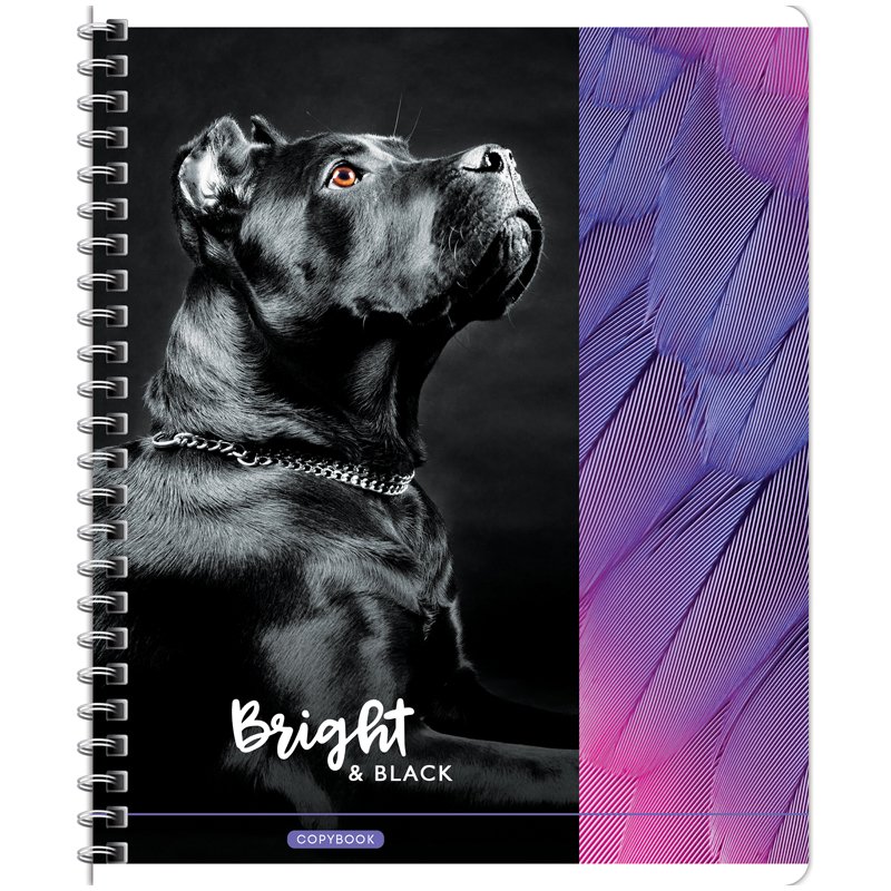 Тетрадь 80л., А5, клетка на гребне ArtSpace «Животные. Bright&black», глянцевый уф-лак