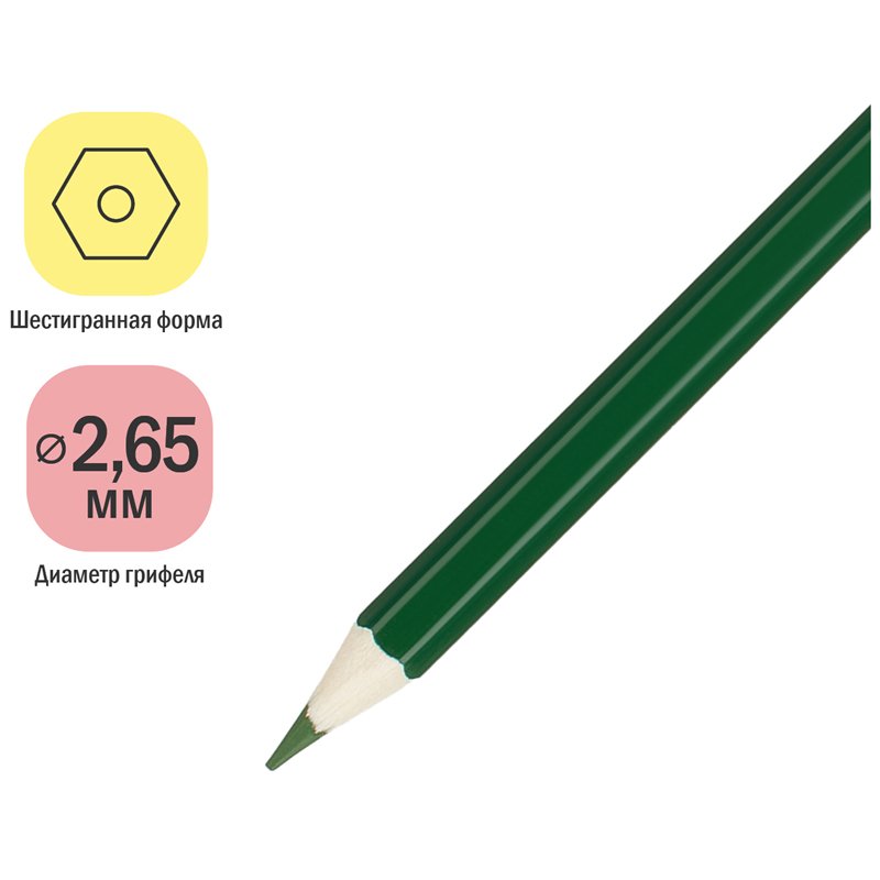 Карандаши цветные ArtSpace «Милые зверушки», 24цв., заточен., картон, европодвес