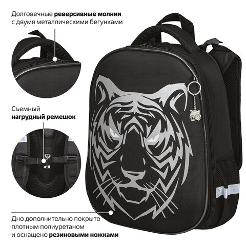 Ранец BRAUBERG SHINY, 2 отделения, «Tiger», СВЕТЯЩИЙСЯ РИСУНОК, 36×28х14 см