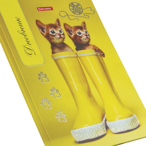 Дневник 1-4 класс 48 л., твердый, BRAUBERG, блестки, с подсказом, «Котята», 105538
