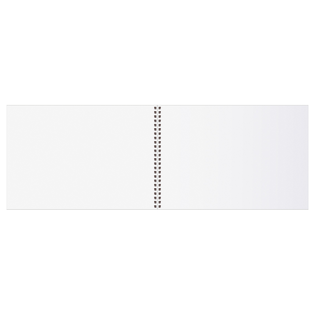 Альбом для рисования 32л., А4, на гребне BG «Botanical»