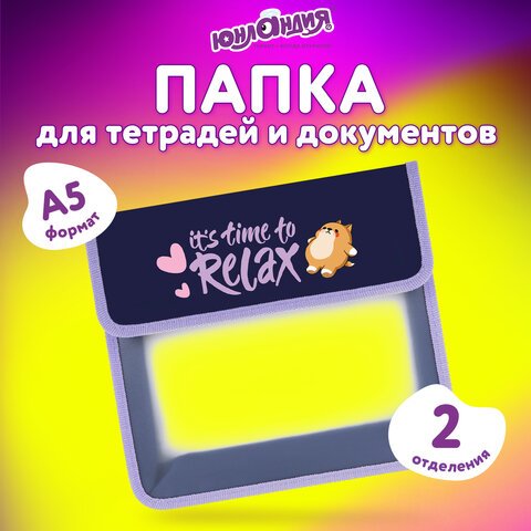 Папка для тетрадей ЮНЛАНДИЯ А5, пластик, 2 отделения, клапан на липучке, «Bored cat»