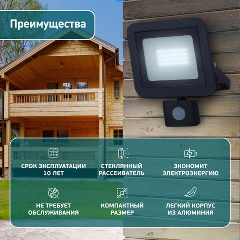 Прожектор светодиодный ЭРА, датчик движения, 20(175) Вт, 6500К, 1600 Лм, IP65, черный, LPR-041-2-65K-020