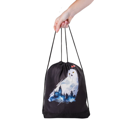 Сумка для обуви ПИФАГОР1 отделение42×34 см«White Owl»270182