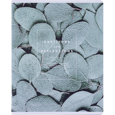 Тетрадь общая, BS, А5, 48л., клетка, скрепка. Botanica, эвк. т рамка N4169