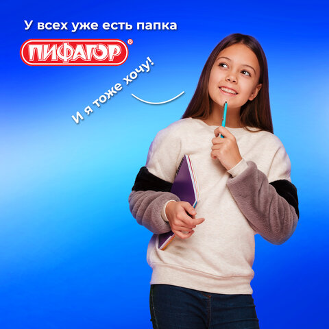 Папка для тетрадей А4 ПИФАГОР, пластик, молния сверху, прозрачная, черный