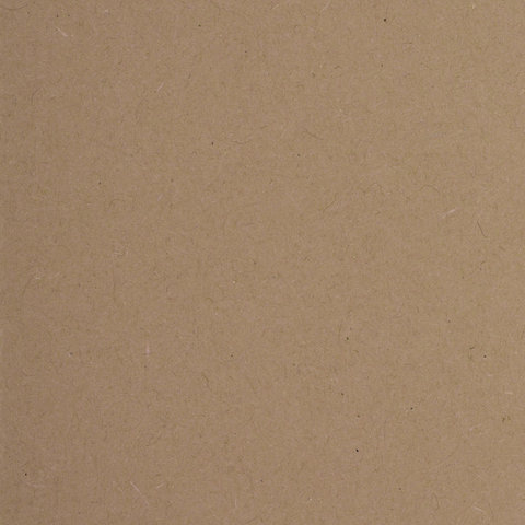 Подвесные папки картонные BRAUBERG, комплект 10 шт., 370х245 мм, 80 л., Foolscap, коричневые, 240 г/м2, таб.