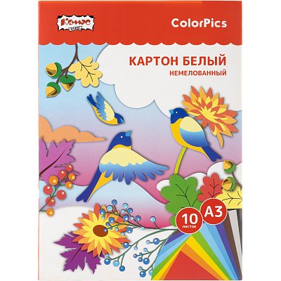Картон белый Комус Класс ColorPics 10л А3 немелован. папка