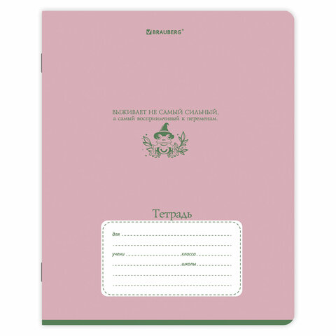Тетради ДЭК 24 л. КОМПЛЕКТ 10 шт. BRAUBERG, линия, обложка картон, «PHRASES»