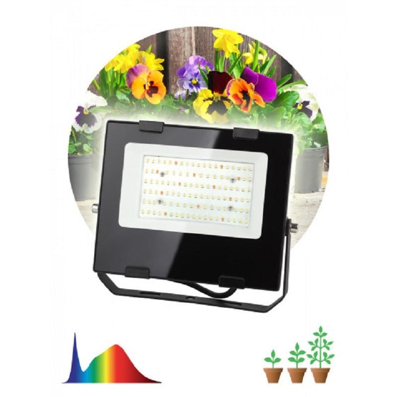Фитосветильник прожектор для растений ЭРА FITO-50W-Ra90-LED (Б0047875)