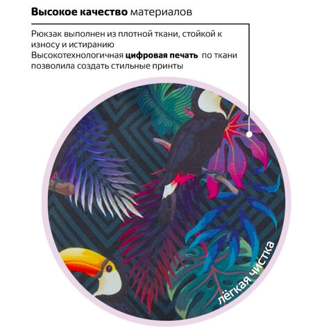 Рюкзак BRAUBERG, универсальный, сити-формат, «Туканы», 20 литров, 41×32х14 см
