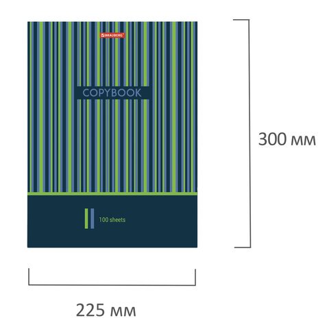 Тетрадь на кольцах А4 100 л. BRAUBERG А4 210×265 мм, клетка, глянцевая ламинация, «Полосы»