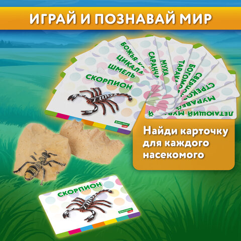 Набор для раскопок «Насекомые»12 видовкарточкиинструментыBRAUBERG KIDS665127