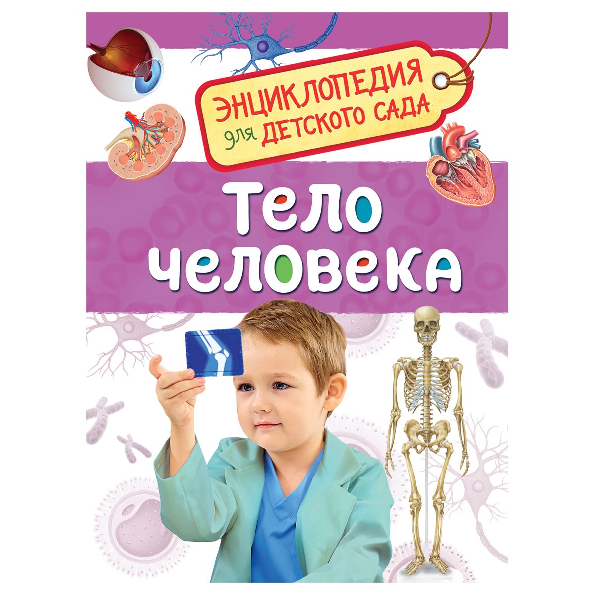 превью Энциклопедия Росмэн 167×220, «Для детского сада. Тело человека», 48стр., 5+